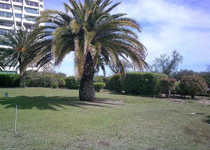 Vittoria Immobilier-375-vue Mer- Reglement Sur Place -cheques Acceptes *